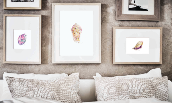 Proporciones áureas