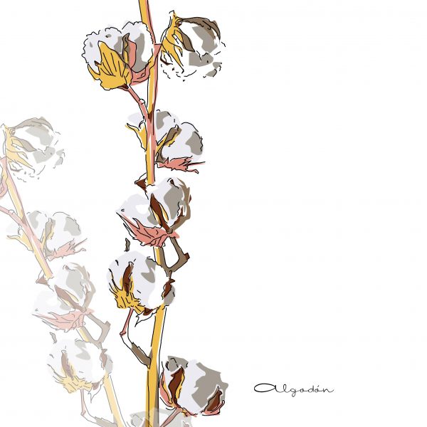 Ilustración digital